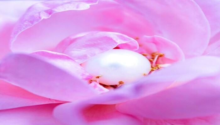 Bloom into a Better You ...and live more impactfully!